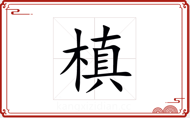 槙 槙