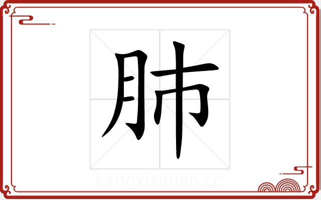 肺 肺