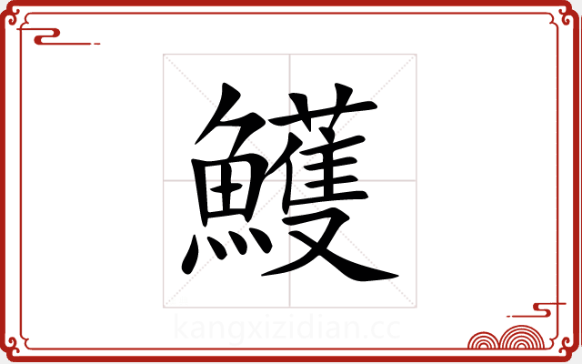 鱯 鱯