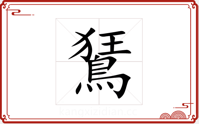 鵟 鵟